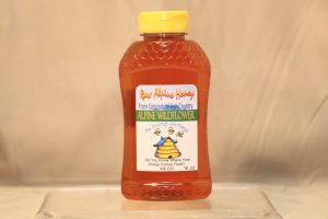 Colorado Alpine Wildflower